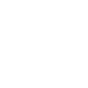 Page Tik Tok